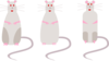 Three Different Rats Clip Art